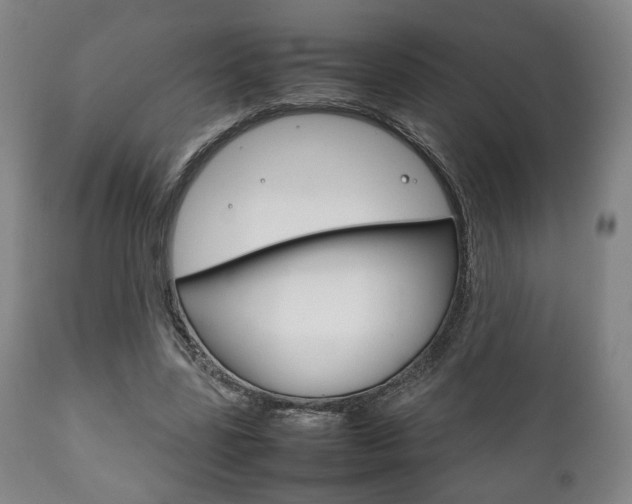 X0000111780539200907230951