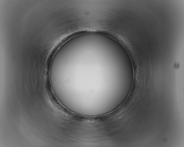 X0000111780540200907230951
