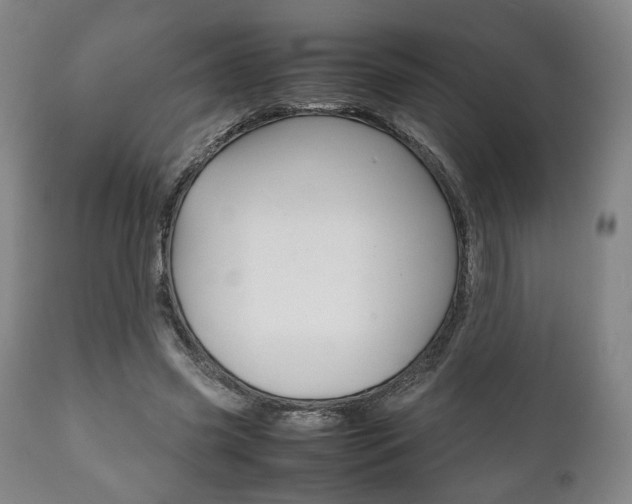 X0000111780541200907230951