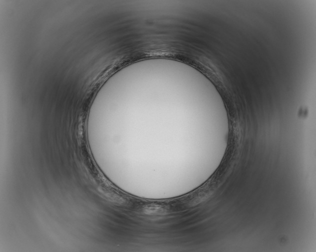 X0000111780549200907230952