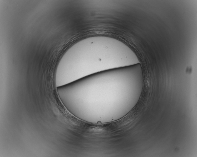 X0000111780551200907230952