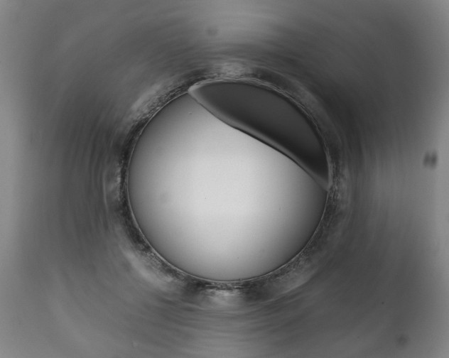 X0000111780552200907230952