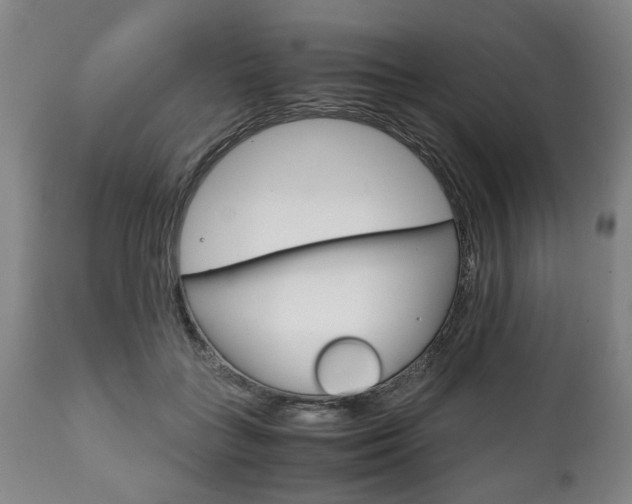 X0000111780555200907230952