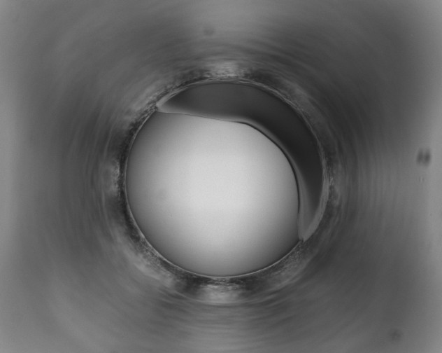 X0000111780556200907230952