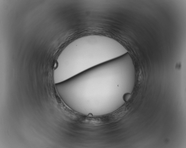 X0000111780559200907230952