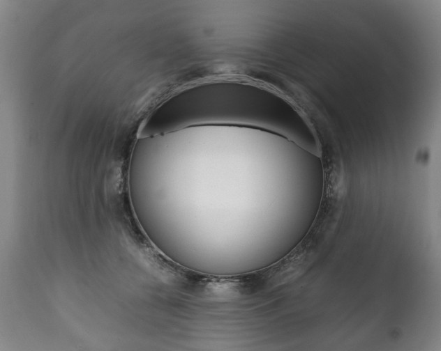 X0000111780560200907230952