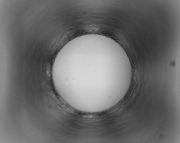X0000111780561200907230952
