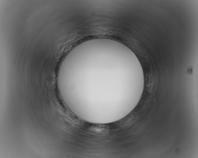 X0000111780563200907230952