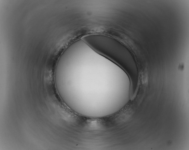 X0000111780564200907230952