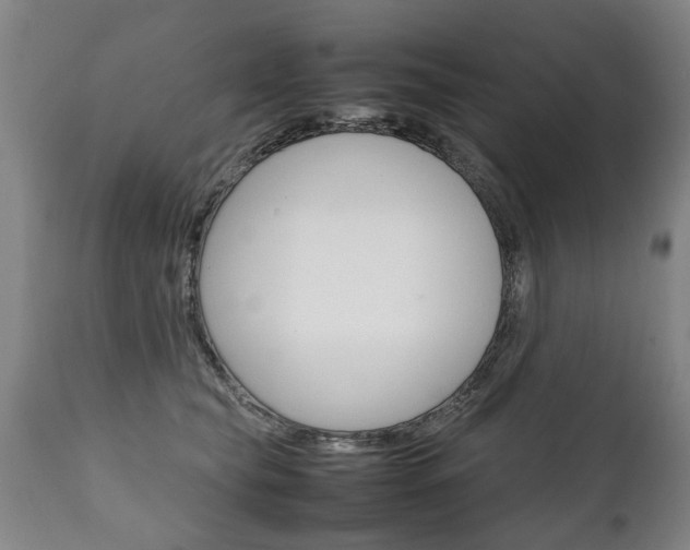 X0000111780565200907230952