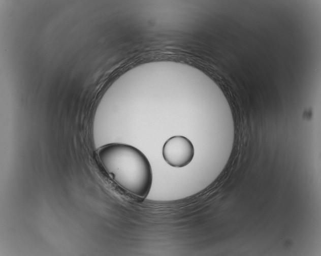 X0000111780566200907230952