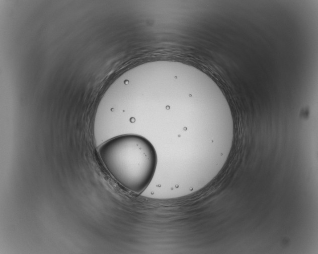 X0000111780568200907230952