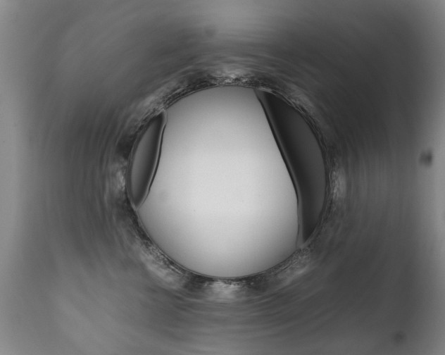 X0000111780570200907230952