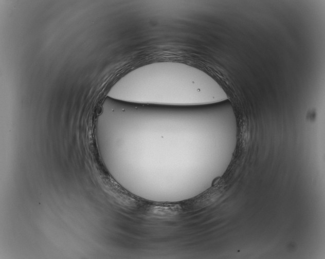 X0000111780571200907230952