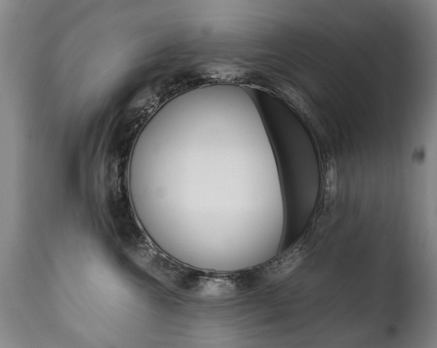 X0000111780572200907230952