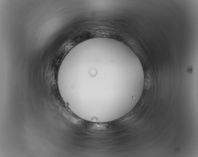 X0000111780573200907230952