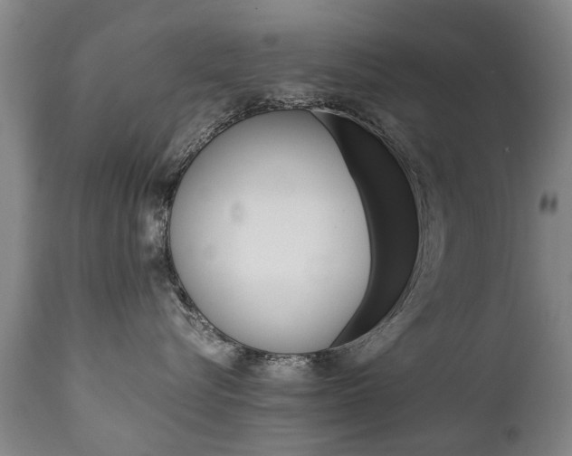 X0000111780576200907230952