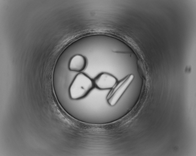 X0000111780577200907230951