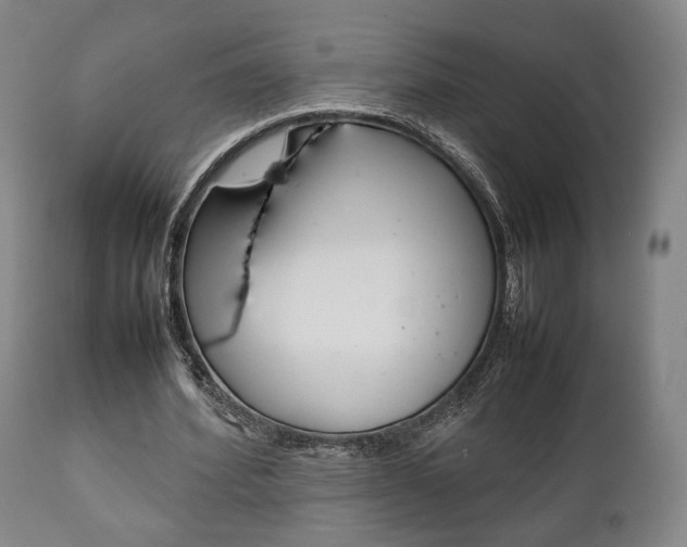 X0000111780580200907230951