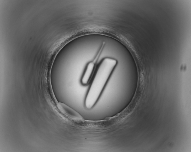 X0000111780581200907230951