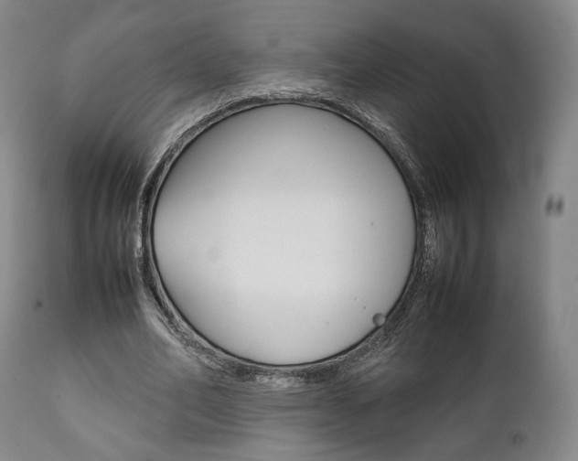 X0000111780582200907230951
