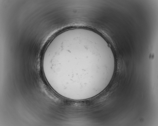 X0000111780584200907230951