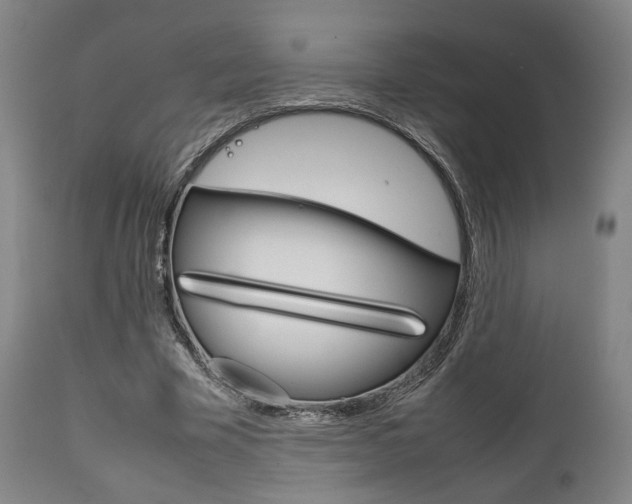 X0000111780585200907230951