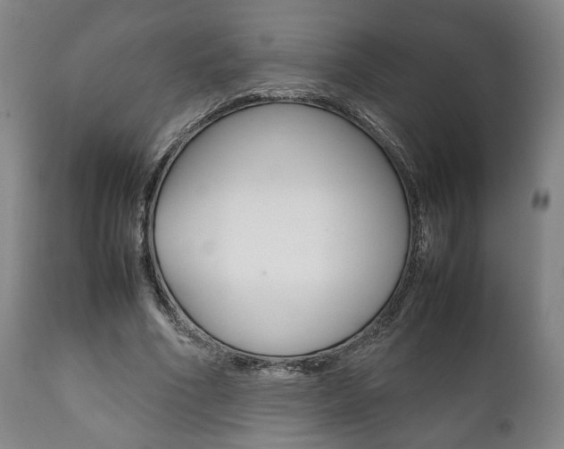 X0000111780586200907230951