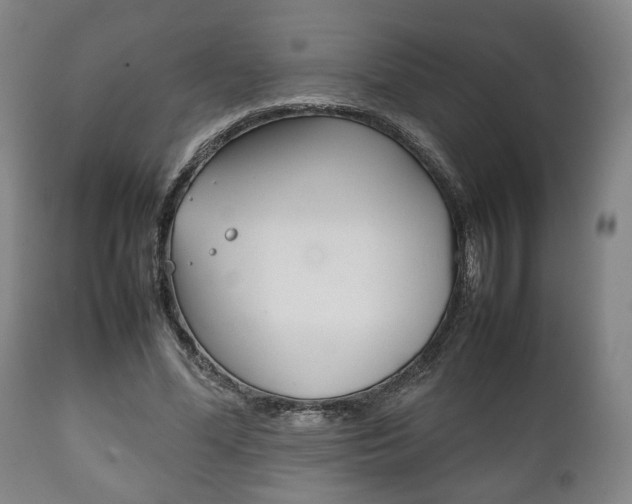 X0000111780588200907230951