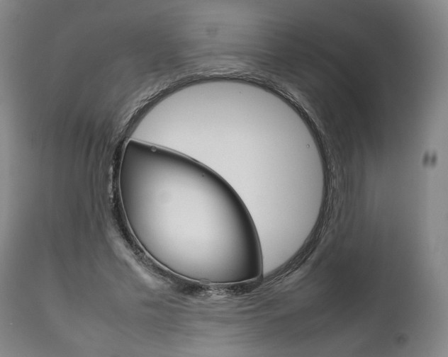 X0000111780589200907230951