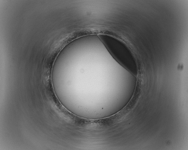 X0000111780593200907230951