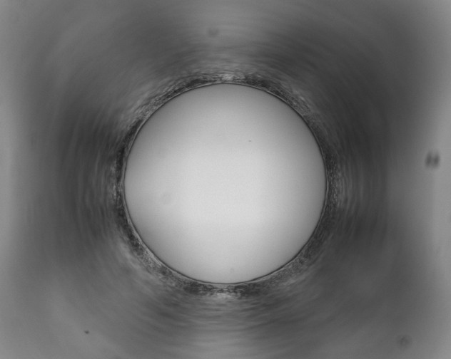 X0000111780594200907230951
