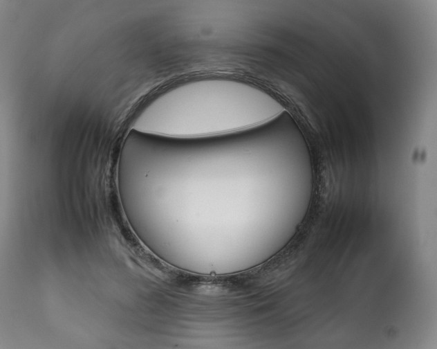 X0000111780596200907230951