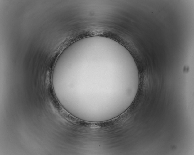 X0000111780598200907230951