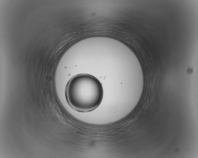 X0000111780599200907230951