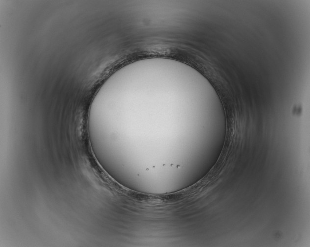 X0000111780600200907230951