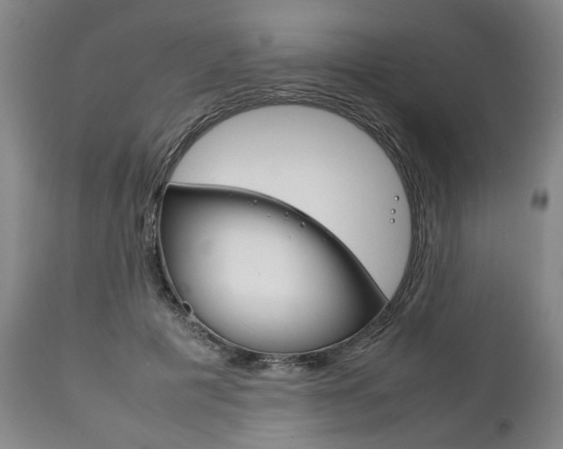 X0000111780601200907230951
