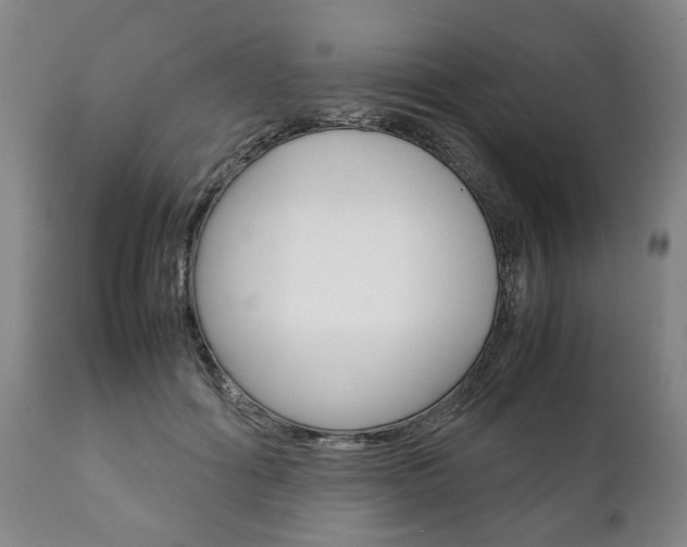 X0000111780602200907230951