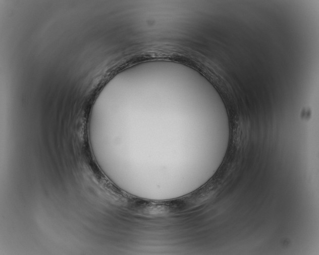 X0000111780604200907230951