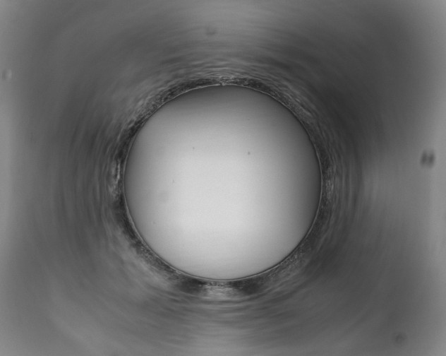 X0000111780605200907230951