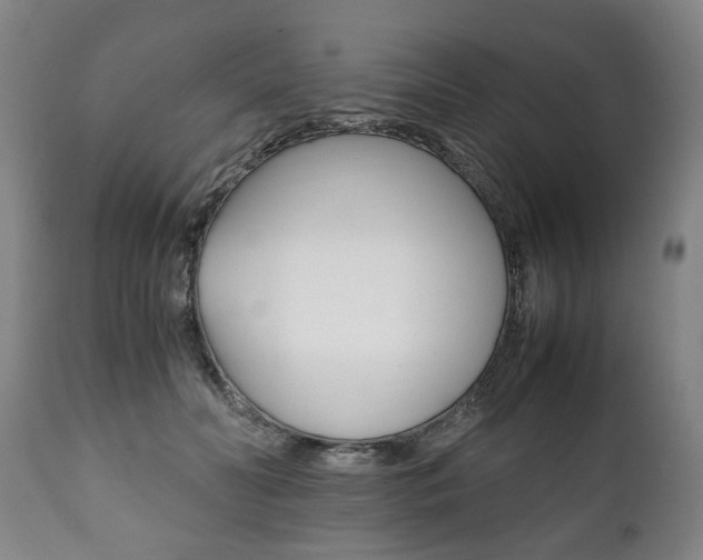 X0000111780606200907230951