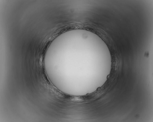 X0000111780610200907230951