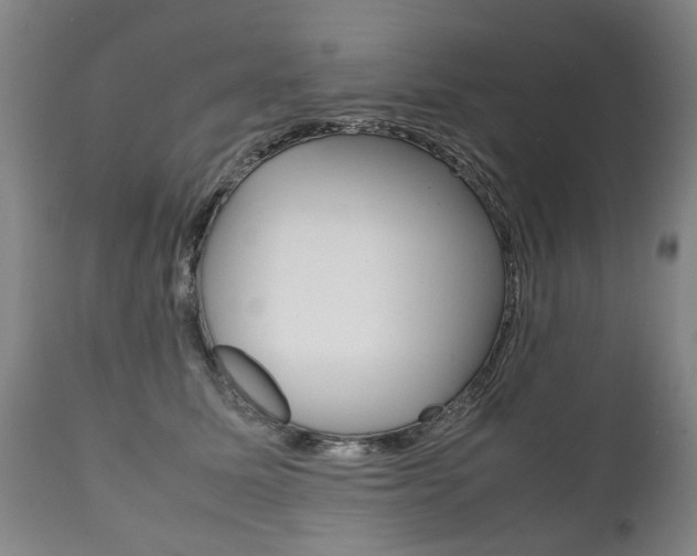 X0000111780611200907230951
