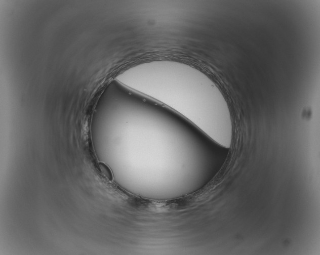 X0000111780613200907230950