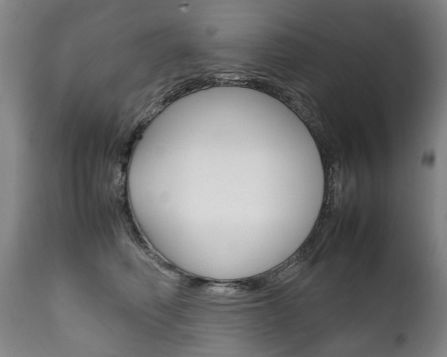 X0000111780614200907230950