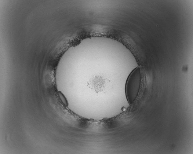 X0000111780621200907230950