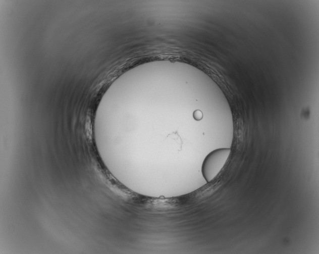 X0000111780622200907230950