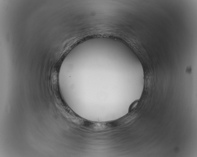 X0000111780623200907230950