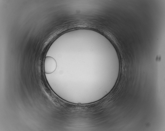 X0000111780626200907230950