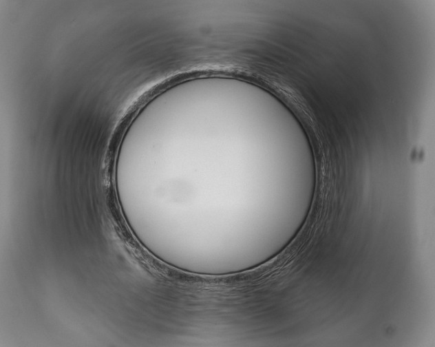 X0000111780628200907230950